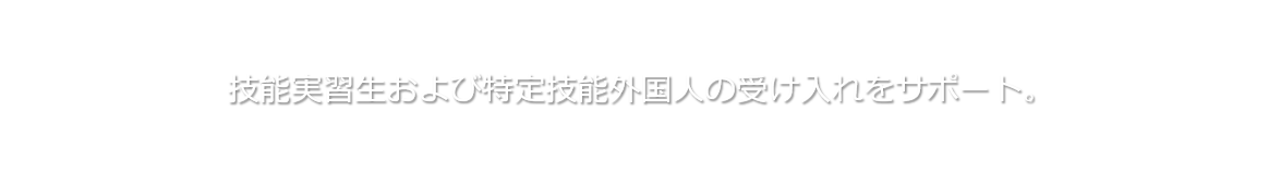 技能実習生および特定技能外国人の受け入れをサポート。